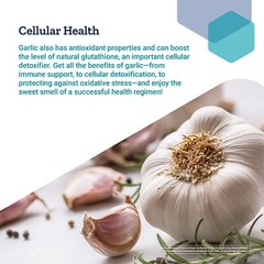 4 PACK Life Extension Optimized Garlic for Cardio Health Immune Support 200 Caps