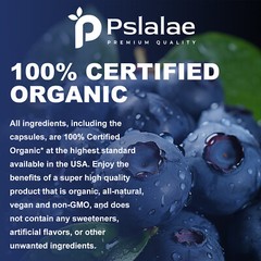 Wild Blueberry Extract Whole Fruit 5000mg – Eye Health,Antioxidant, Brain Health