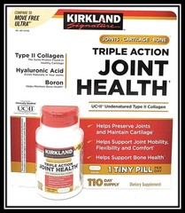 KIrkland Triple Action Joint Health 110 tab Compare Move Free Ultra EXP:10/2028