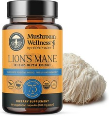 Organic Lion’s Mane & Reishi Capsules – 90 Capsules for Mental Clarity