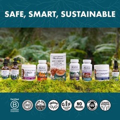 Host Defense CordyChi Capsules – Energy Immune Support Supplement – Cordyceps