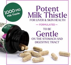 Milk Thistle Extract Liver Support Silymarin 60 Capsules