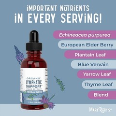 US Stock | Organic Lymphatic Support – Echinacea & Elderberry Drops – Vegan–30ml