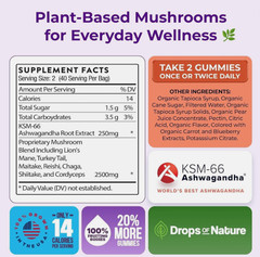 Ashwagandha Gummies and Lions Mane Mushroom Gummies Supplement – 80ct