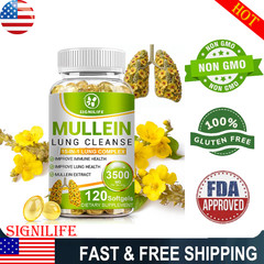 Mullein Leaf Capsules – Lung Cleanse & Cough Relief, Respiratory Health, Detox