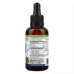 Black Seed Oil 1 oz by Amazing Herbs