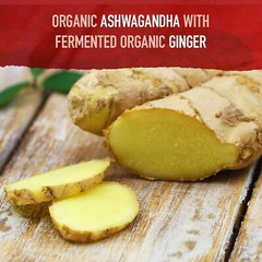 Garden of Life Organic Ashwagandha Stress, Mood & Energy Support Supplement w…