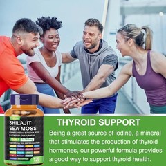 120 Pills Organic Irish Sea Moss 21762MG with Burdock Root Bladderwrack Shilajit