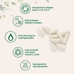 Micro Ingredients Multi Collagen Complex, 240 Capsules