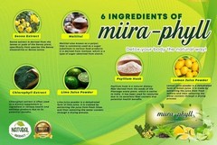 Miira-phyll Detox your body the natural way 12 sachets per box