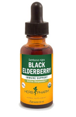 Black Elderberry Herb Pharm 1oz Dropper Bottle – Fast Shipping