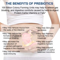 Probiotics Digestive Enzymes 100 Billion CFU Potency Immune Health 360 Capsules