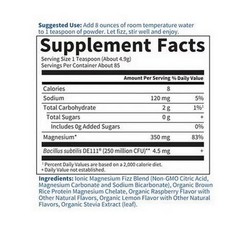 Dr. Formulated Magnesium Powder Raspberry Lemon; 14.9 O