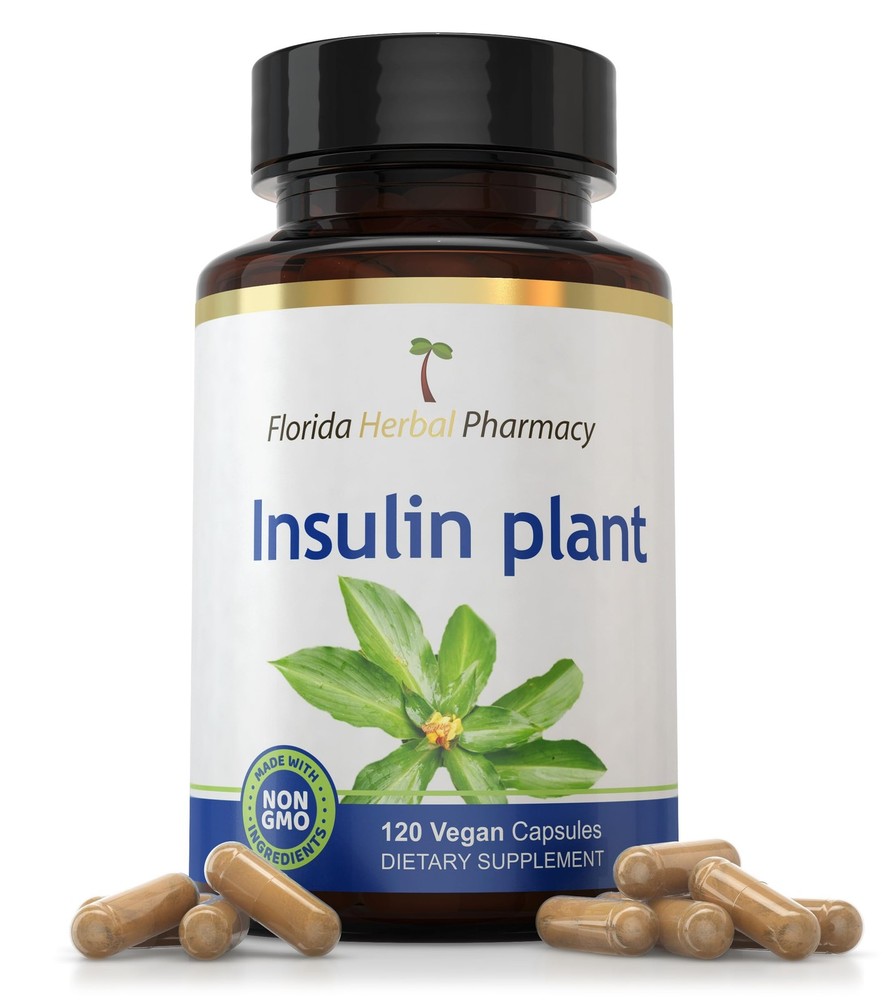 Florida Herbal Pharmacy, Insulin Plant Costus Igneus Leaf Extract Supplement …