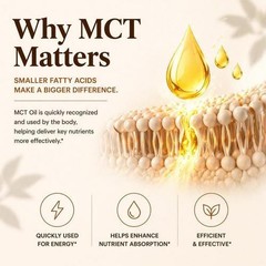 Metabolae Ceylon Cinnamon Capsules With MCT Oil, High Absorption, 300 Softgels