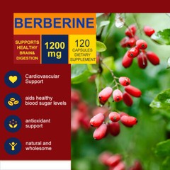 Berberine HCL 1200mg High Absorption For Blood Sugar Immune 120/240/480 Capsules