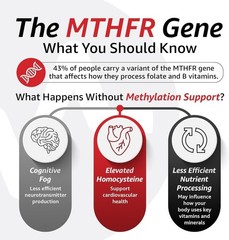 10X Health Optimize Methylated Multivitamin 34 in 1 Methyl B Complex