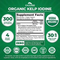Zazzee USDA Organic Kelp Iodine 30:1 Extract, 300 mcg, 120 Vegan Capsules