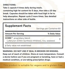CCWS Candida Cleanser