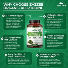 Zazzee USDA Organic Kelp Iodine 30:1 Extract, 300 mcg, 120 Vegan Capsules
