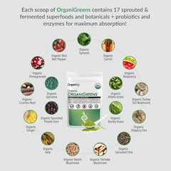 Organixx Greens Powder Drink Mix with Probiotic Digestive Enzymes, Gluten Free,