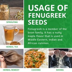 Jiva Organic Fenugreek Seeds 7 Ounce – 7 (Pack of 1), Original Version