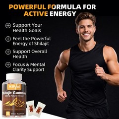 Pure Himalayan Shilajit Gummies Gold No Added Sugar I Natural Himalayan Shilajit