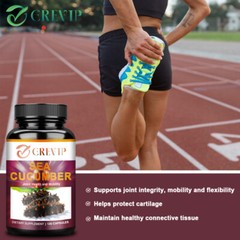 Sea Cucumber – Bone & Joint Health, Blood Pressure Support, Metabolism Support