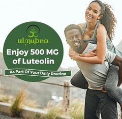 Liposomal Luteolin 500MG, Maximum Absorption, Potent Flavonoid, 60 Softgels, …