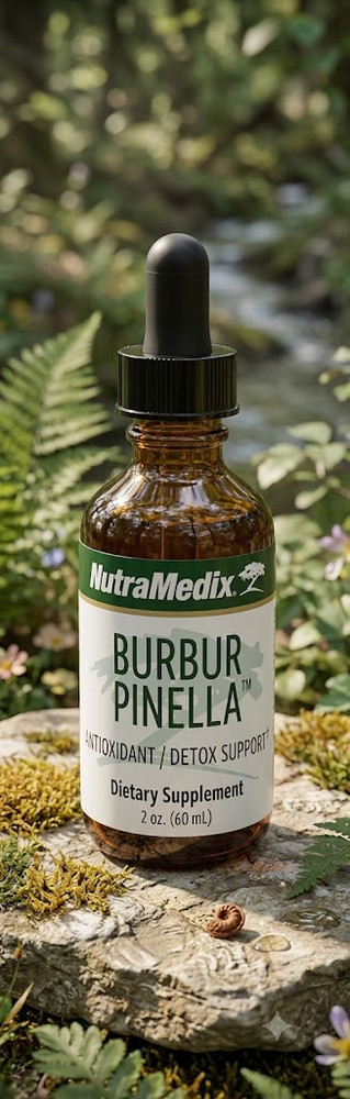 NutraMedix Burbur Pinella Detox Drops Brain & Nerve Support Liquid 2 oz 60ml
