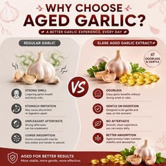 Aged Garlic Extract 300 Aged Odorless Garlic Extract Softgels, Vitalisse AJO…