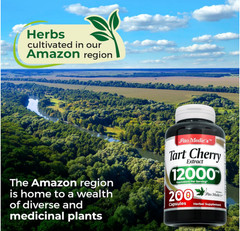 Tart Cherry 200 Capsules 12000 mg Tart Cherry Extract Concentrate Extract Abs