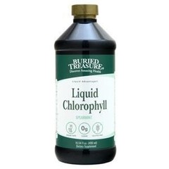 Buried Treasure Liquid Chlorophyll Spearmint 16.54 fl.oz