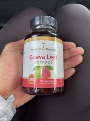 Florida Herbal Pharmacy, Guava Leaf Extract Supplement Capsules 10:1 (120 500 mg