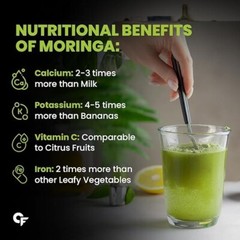 100% Organic Moringa Powder – Moringa Oleifera – USDA Certified | Moringa Leaves