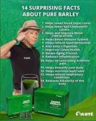 Organic Barley Grass POWDER, CAPSULE, COFFEE, FUSION, BOOST, DAILY C (1pc) SANTE