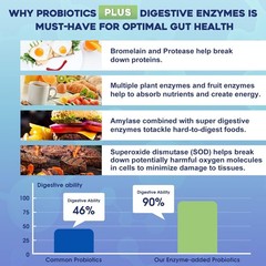 Probiotics for Women Men – 100 Billion Plus Digestive Enzymes Prebiotics, H…