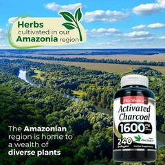 Activated Charcoal 1600mg 240Caps From Coconut Shells NO PreservativGluten Free