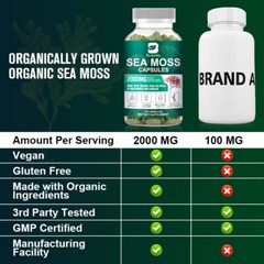 Organic Sea Moss Capsules, Irish Sea Moss bladderwrack & Burdock Root 120 Pills
