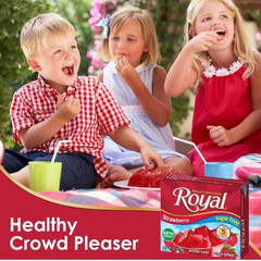 Royal Gelatin Sugar Free Variety – 12 Pack -3 Boxes Each Flavor