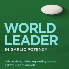 Garlic Extract Supplement, Healthy Blood Sugar Formula, Blood Sugar Support, …
