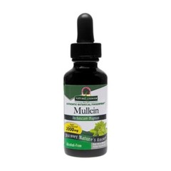 Mullein – Highly Concentrated & Alcohol-Free – 2,000 MG (1 Fluid Ounce)