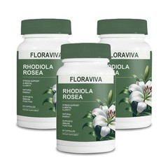 3-Pack Rhodiola Rosea Capsules – Floraviva for Energy, Focus, Mood -120 Capsules