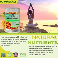 (3 Pack) Sea Moss Gummies – Irish sea Moss raw Organic Bladderwrack Burdock Root