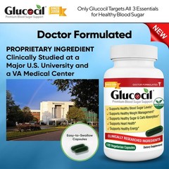 Glucocil – Vegetarian Capsules – Premium Blood Sugar 120 Count (Pack of 1)