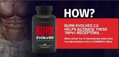 New Burn Evolved Fat Burner Weight Loss Muscles Supplement