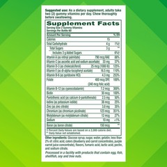 Vitafusion Men’s Multivitamin Gummies | 120 Gummy 120 Count (Pack of 1)