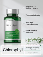 Chlorophyll Capsules 60mg from Mulberry Leaf | 120 Count | Non-GMO, Gluten Free