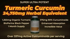 Turmeric Curcumin Super Potent 30:1 Extract 375mg 90% Curcuminoids, 1,350mg T…