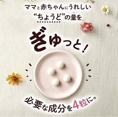 Original FANCL Mama Lula Folic Acid & Iron Plus (120 pcs) — Made in Japan